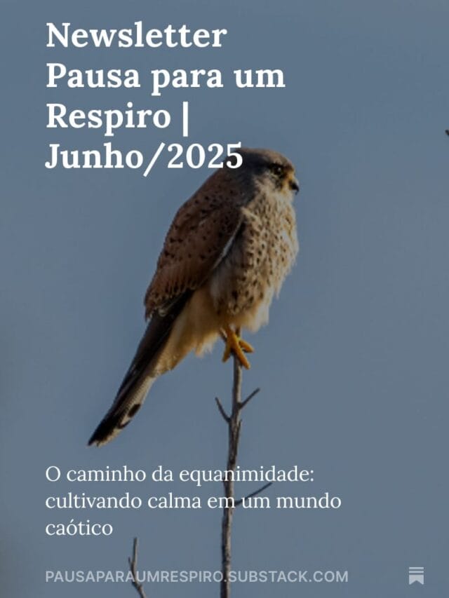 Newsletter Gratuita de Bem-estar